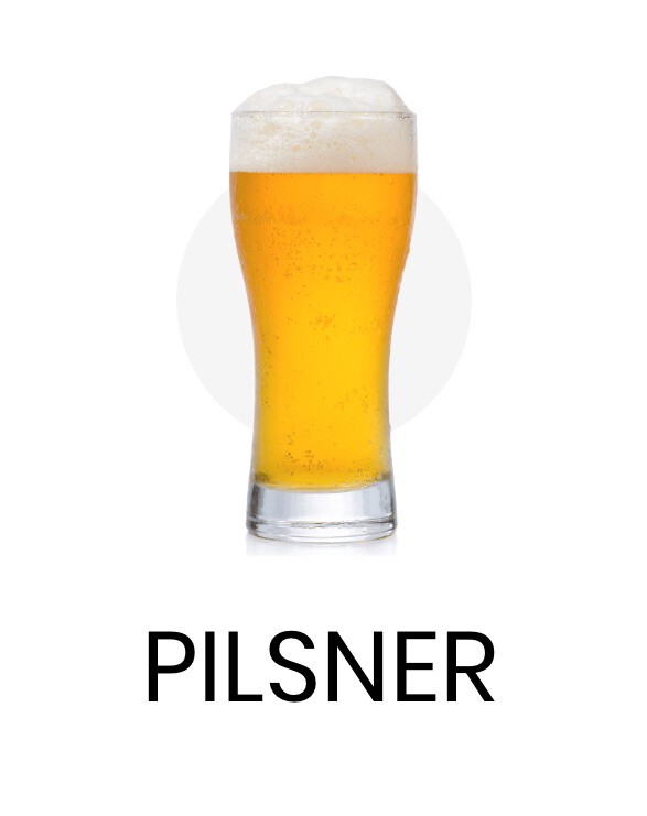 pilsner